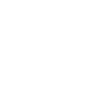 kingston